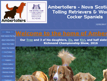 Tablet Screenshot of ambertollers.co.uk